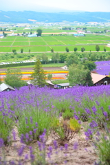 ふらの線は行く・・・