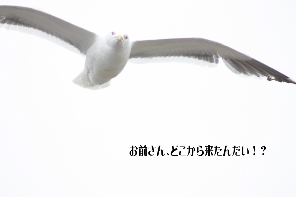 なんか文句ある？