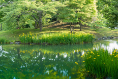 緑の季節