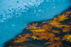 氷湖のおきて