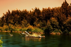 ストラクチャー