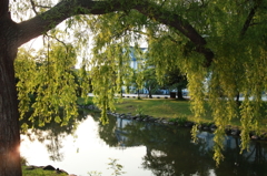 夕暮れの「ほっ」・・・