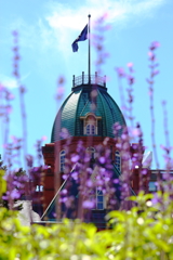 札幌 赤レンガ道庁