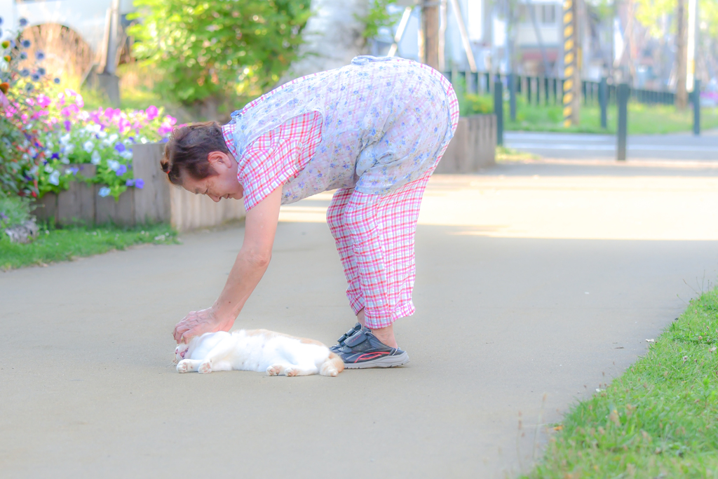 猫魔術師あらわるｗ