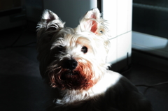 ビックリさせてすみません・・・