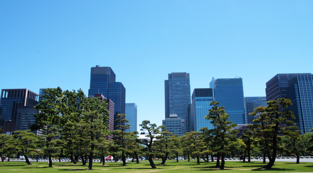 オアシス