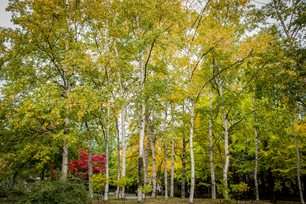 ワンポイントアドバイス