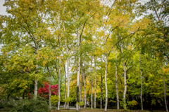 ワンポイントアドバイス