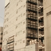 雑居