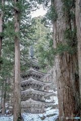 霊場に赴く