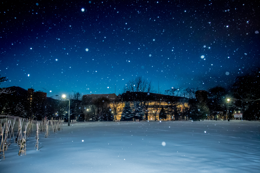 青の雪原