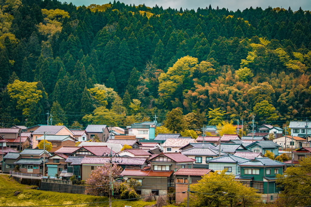 日本家屋の密集