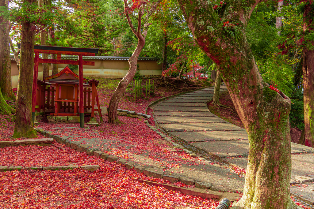 奈良県　奈良公園　東大寺出口前