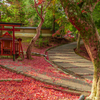 奈良県　奈良公園　東大寺出口前