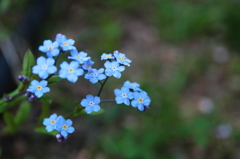 ささやかな思い