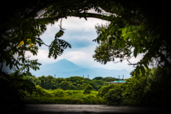 緑道のむこう