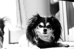 ごめんなさい・・・