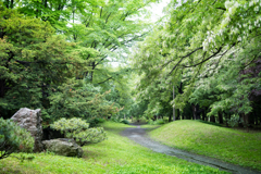 帰路も深緑へ