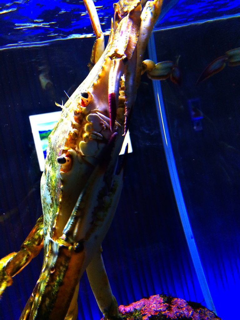 こんなはずじゃ・・・