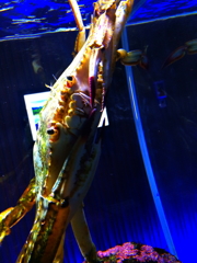 こんなはずじゃ・・・