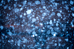 風雪の中へ・・・