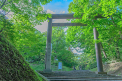 北海道神宮　鳥居前