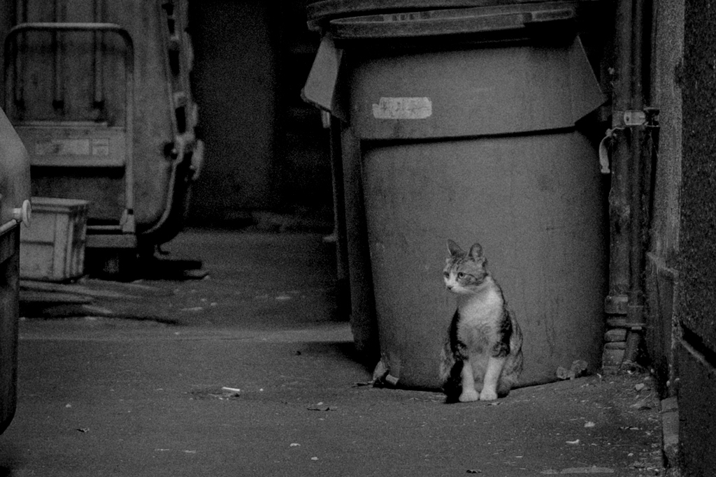 はちあわせから・・・