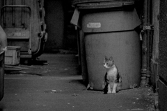 はちあわせから・・・