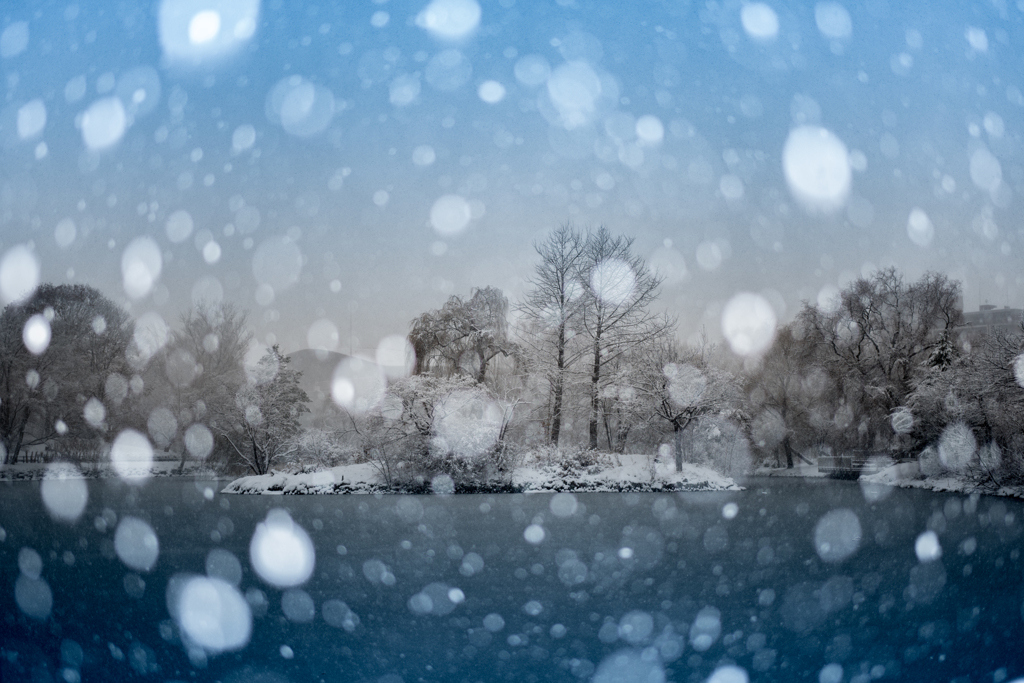 雪光の湖