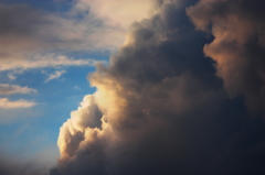 後頭部だと言う事