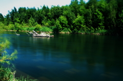 涼しげな・・・