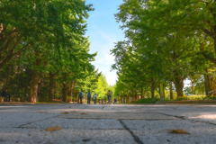 中島公園１