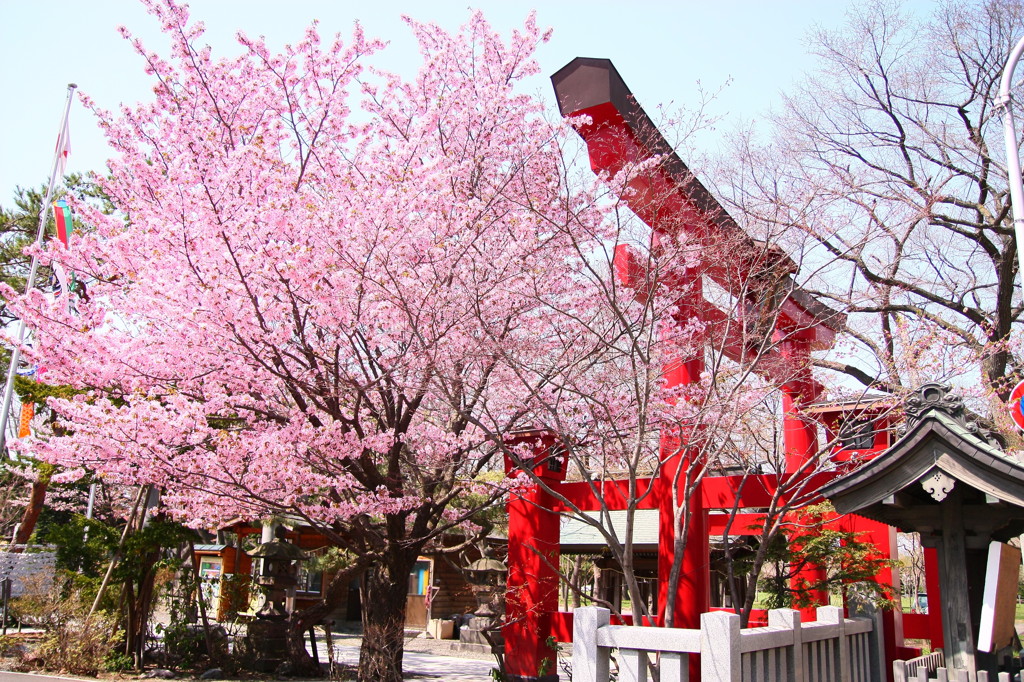 先発隊が開花したぞ！