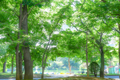中島公園7