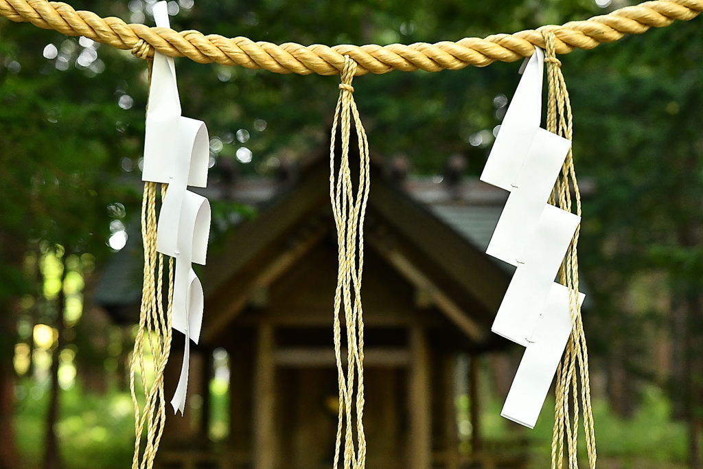 お願いします・・・