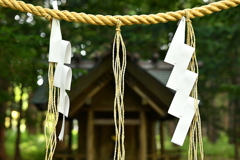 お願いします・・・