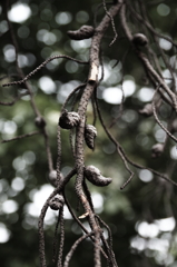 もうすぐだね・・・