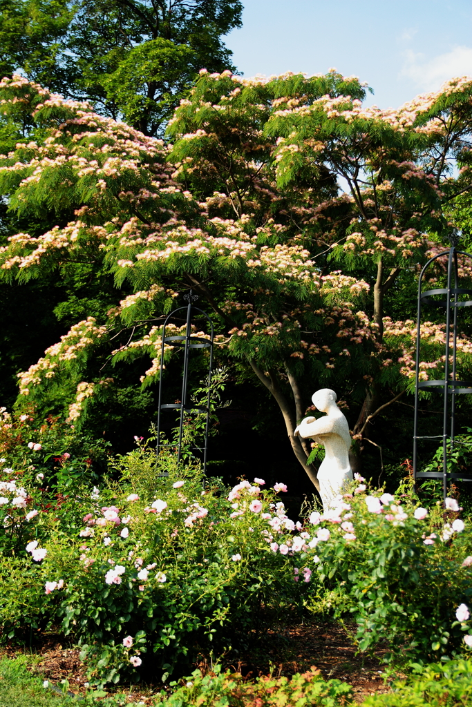 憩いの森