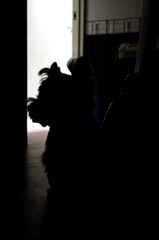 何やってるの？