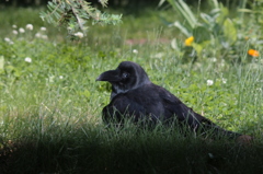 そんな目で・・・