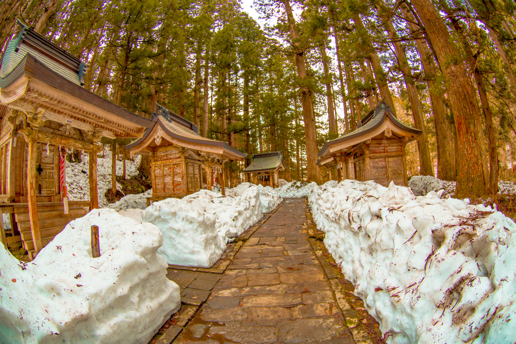 雪の壁にうもれる