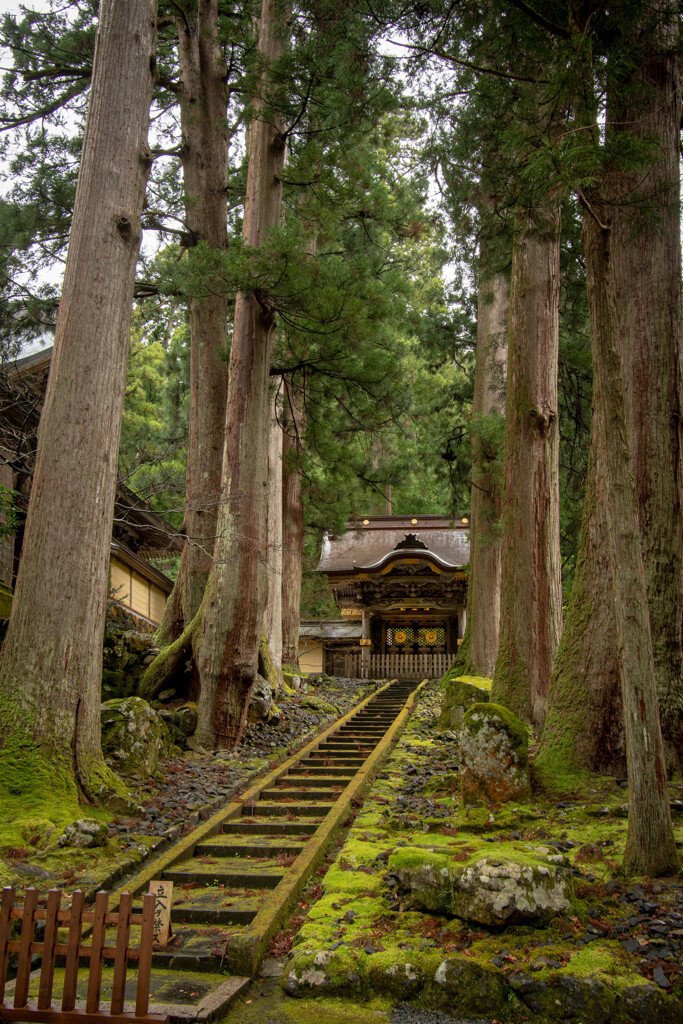 永平寺「唐門」