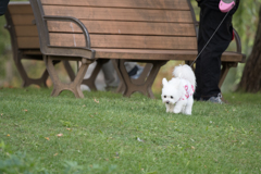 もう帰っちゃうの・・・