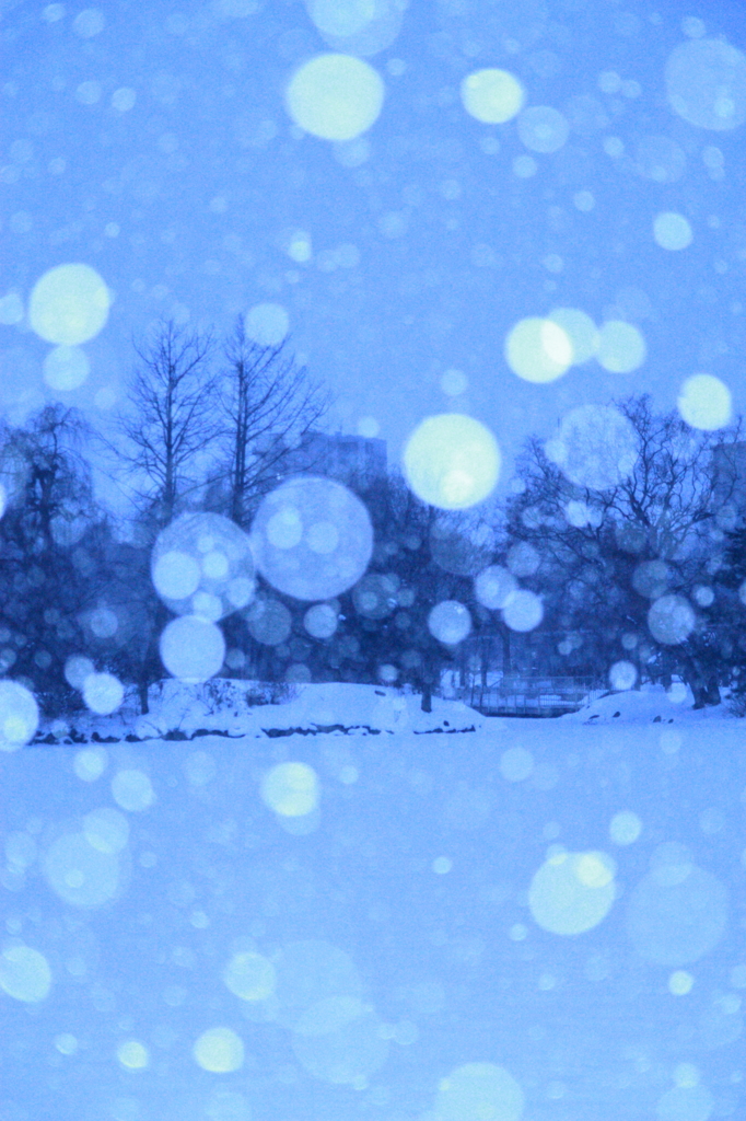雪光射