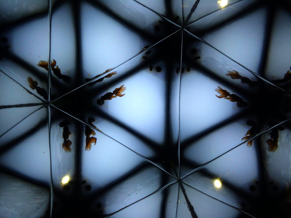 万華鏡のように...