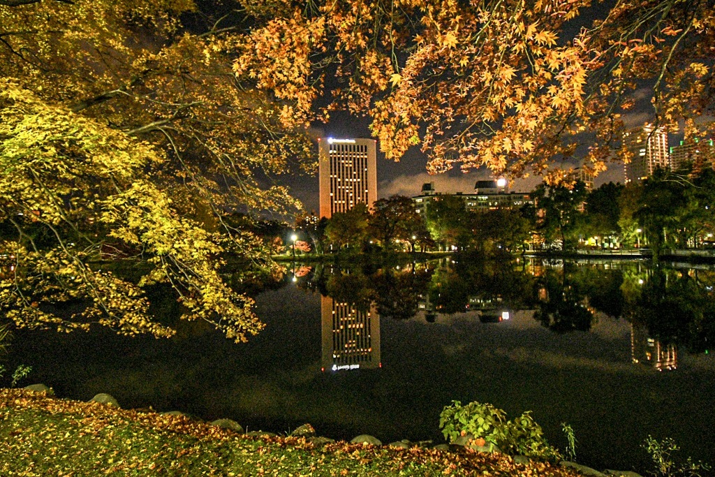 黒鏡と夜紅に魅了されて