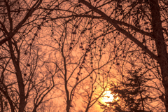 夕影