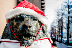 Lion Santa