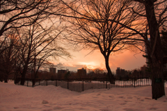 雪と夕景の中島公園