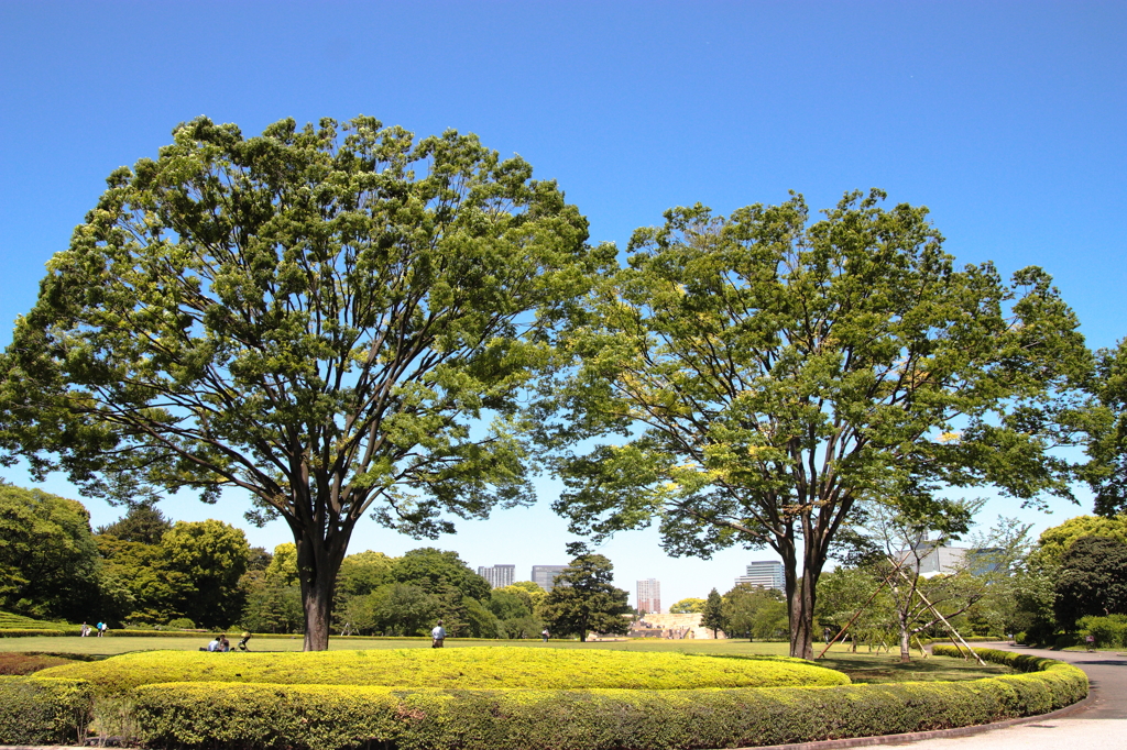 皇居本丸跡地